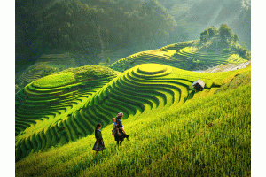 TOUR HÀ GIANG 